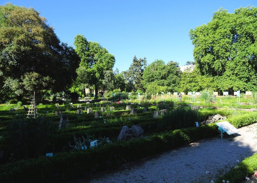 Jardin Botanique de l'Arquebuse, Dijon, France, France